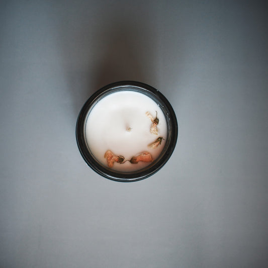 Buttery Pumpkin Harvest Candle